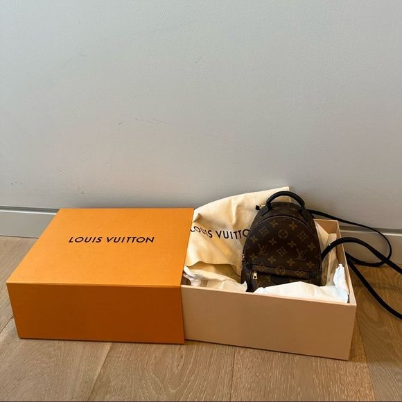 LOUIS VUITTON (LV) PALM SPRINGS MINI BACKPACK - Picture 1 of 14